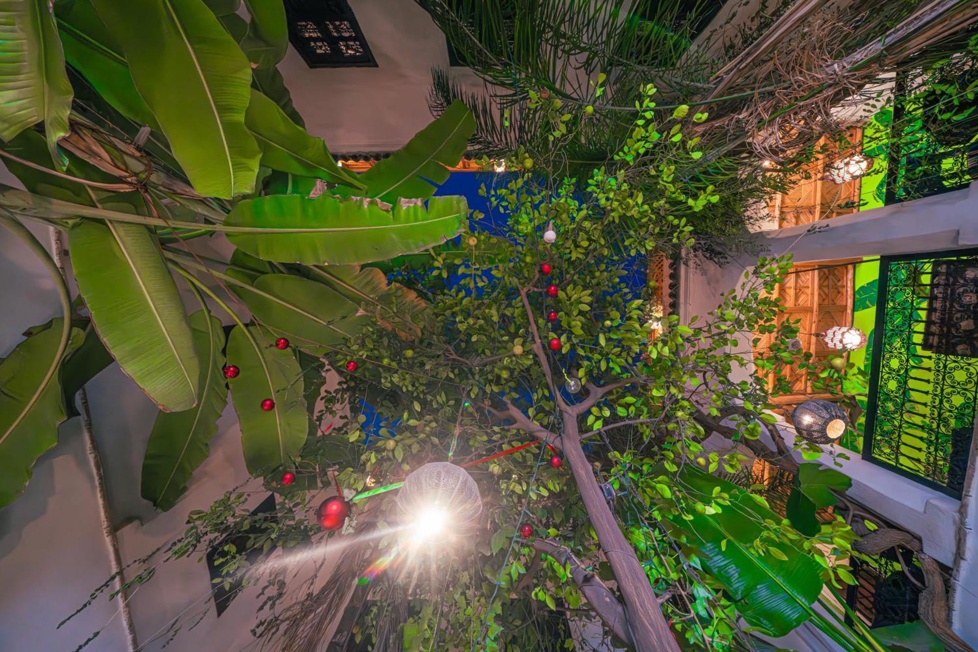 Riad Tibibt Marrakesh Eksteriør bilde